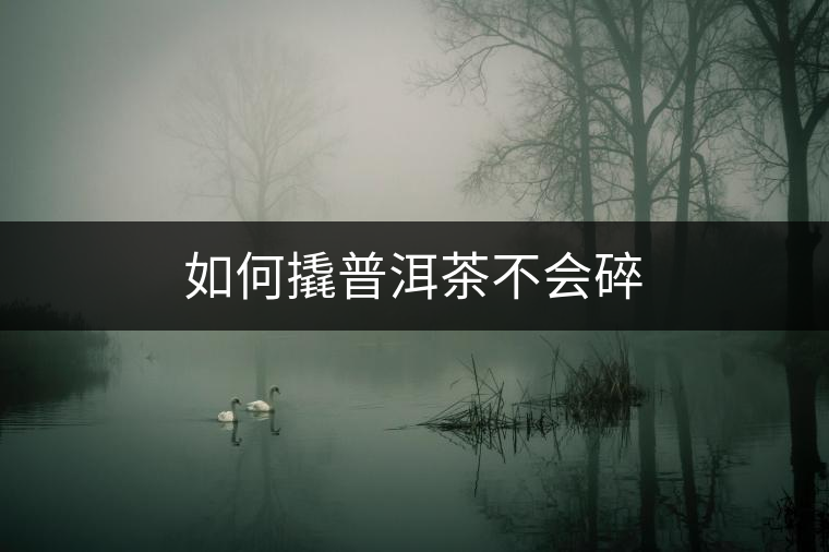 如何撬普洱茶不會(huì)碎 如何撬普洱茶不會(huì)碎