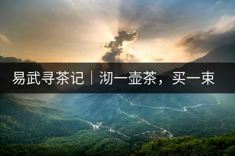 易武尋茶記｜沏一壺茶，買一束花，享半日余暇