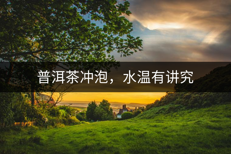 普洱茶沖泡，水溫有講究