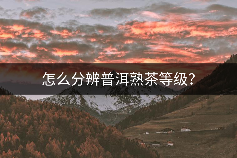 怎么分辨普洱熟茶等級(jí)？