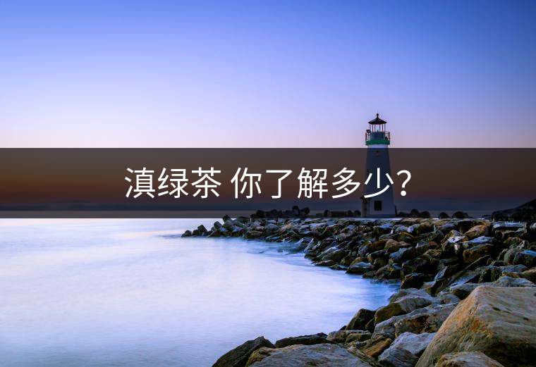 滇綠茶 你了解多少？