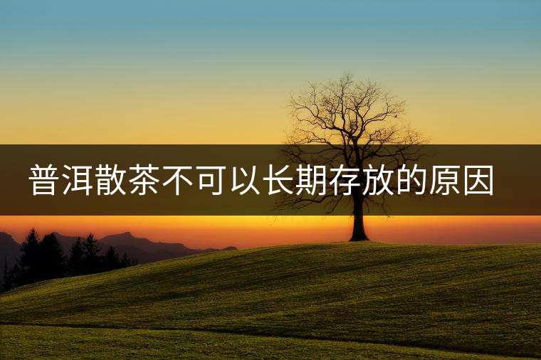 普洱散茶不可以長(zhǎng)期存放的原因是什么？