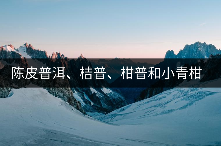 陳皮普洱、桔普、柑普和小青柑茶的分辨技巧