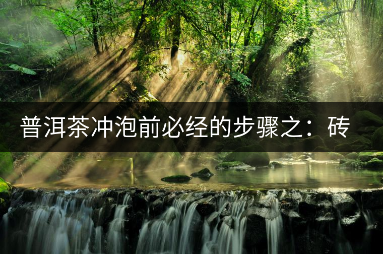 普洱茶沖泡前必經(jīng)的步驟之：磚茶如何撬？