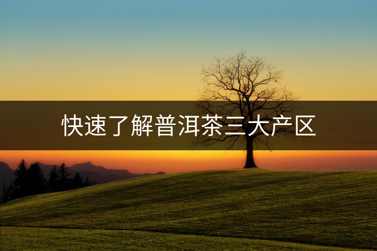 快速了解普洱茶三大產區(qū) 快速了解普洱茶三大產區(qū)