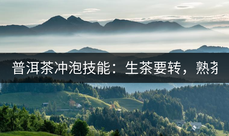 普洱茶沖泡技能：生茶要轉(zhuǎn)，熟茶要柔！
