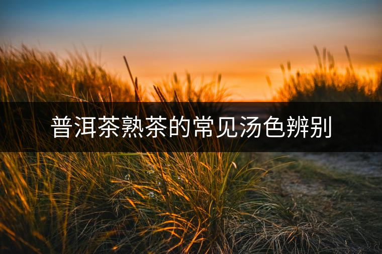 普洱茶熟茶的常見(jiàn)湯色辨別 普洱茶熟茶的常見(jiàn)湯色辨別