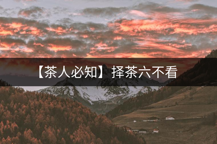 【茶人必知】擇茶六不看