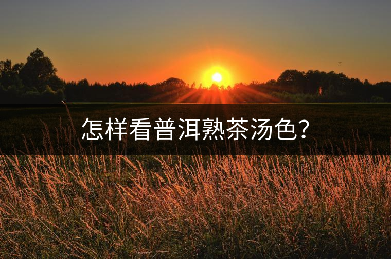 怎樣看普洱熟茶湯色？