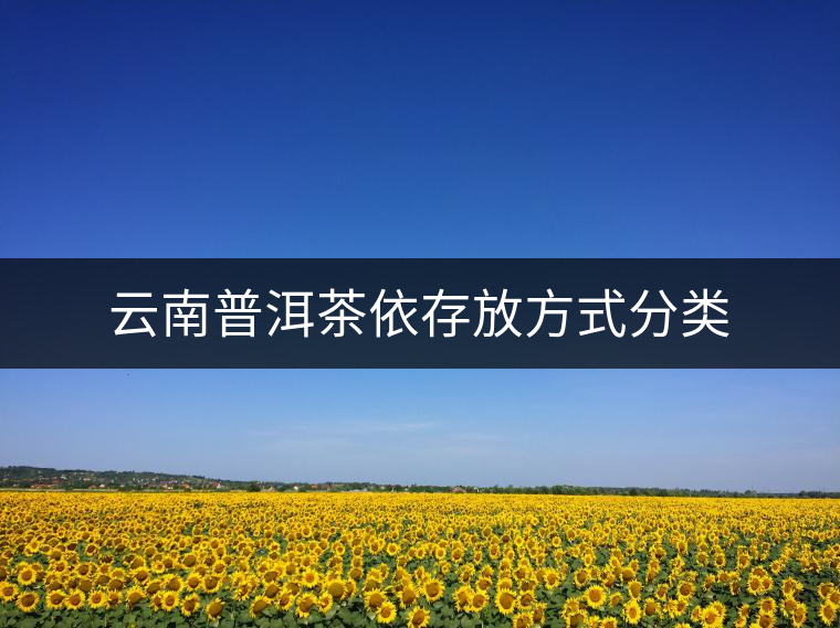 云南普洱茶依存放方式分類 云南普洱茶依存放方式分類