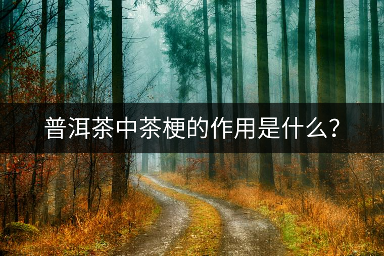 普洱茶中茶梗的作用是什么？