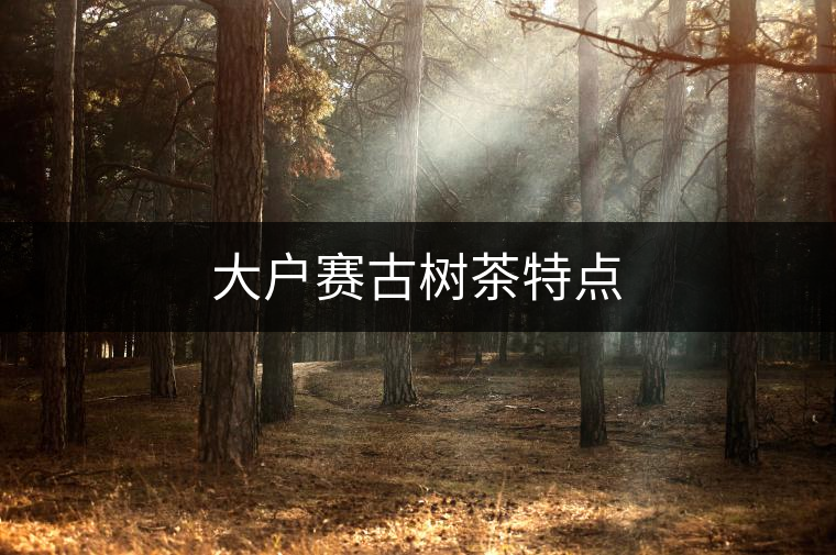大戶賽古樹茶特點(diǎn) 大戶賽古樹茶特點(diǎn)