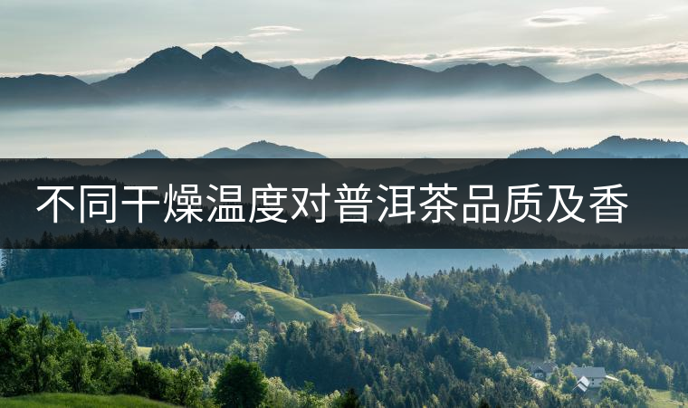 不同干燥溫度對普洱茶品質(zhì)及香氣的影響 不同干燥溫度對普洱茶品質(zhì)及香氣的影響