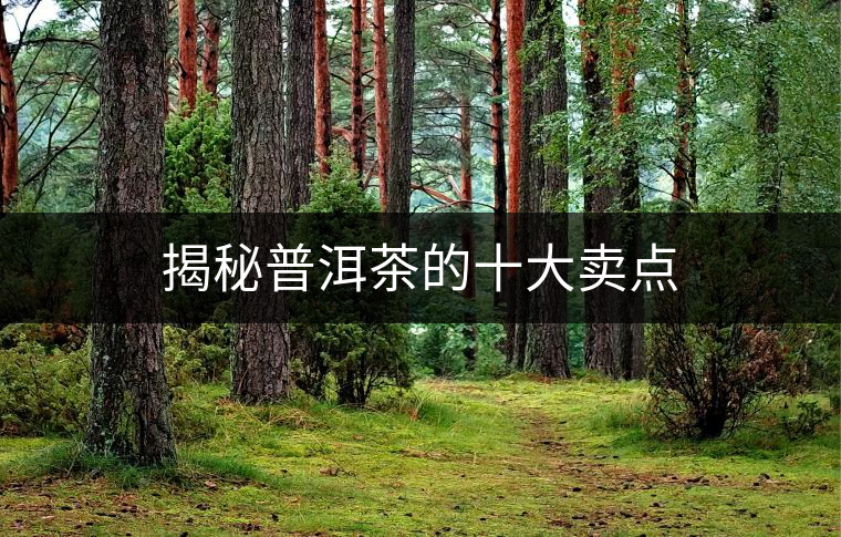 揭秘普洱茶的十大賣(mài)點(diǎn)