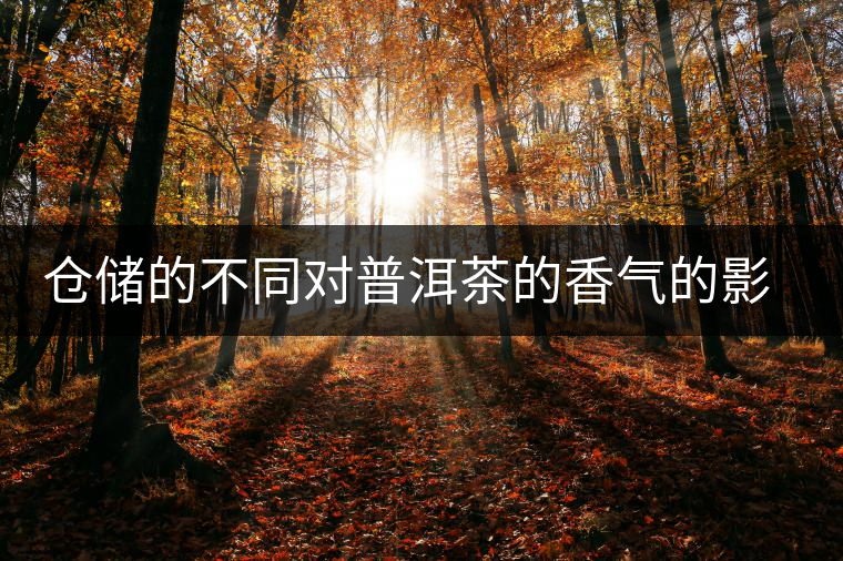 倉(cāng)儲(chǔ)的不同對(duì)普洱茶的香氣的影響 倉(cāng)儲(chǔ)的不同對(duì)普洱茶的香氣的影響