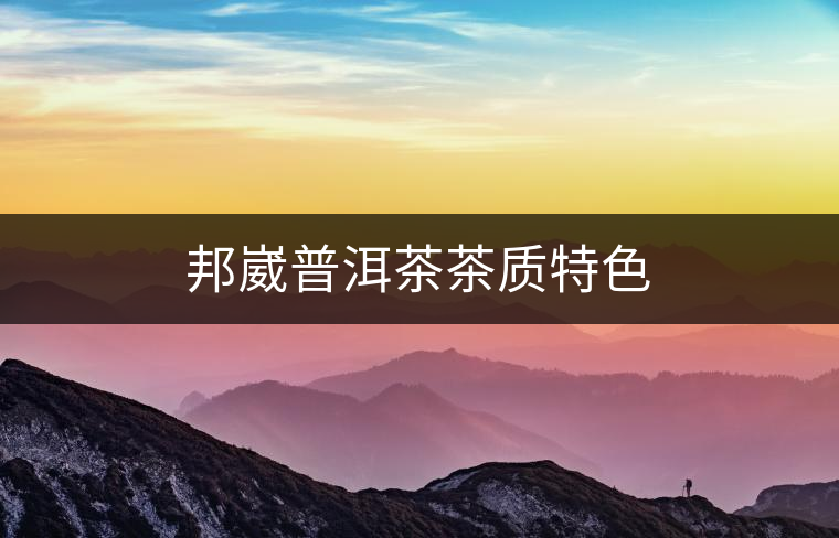 邦崴普洱茶茶質特色 邦崴普洱茶茶質特色