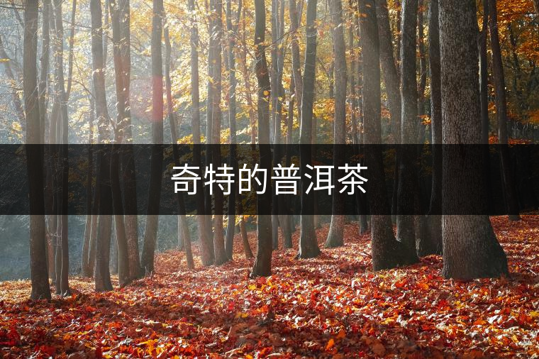奇特的普洱茶 奇特的普洱茶