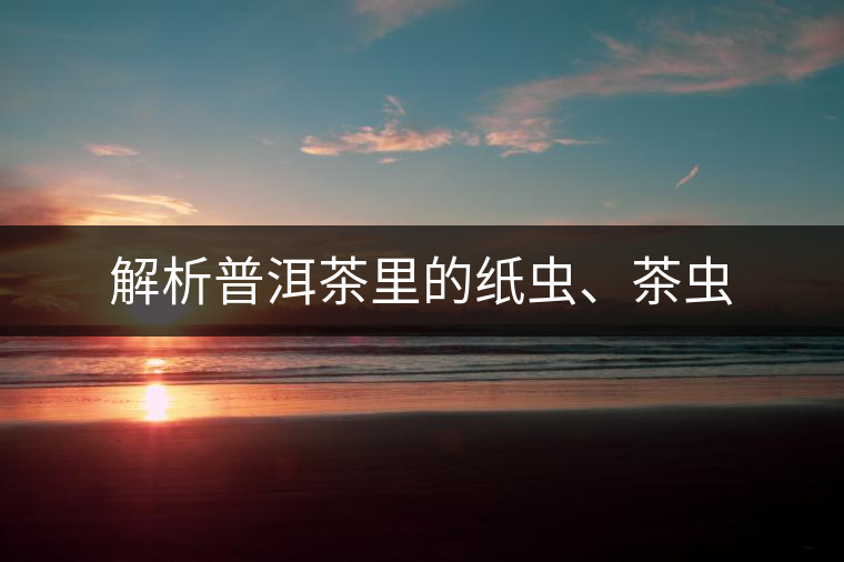 解析普洱茶里的紙蟲、茶蟲