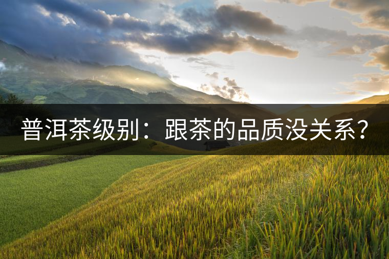 普洱茶級別：跟茶的品質(zhì)沒關系？