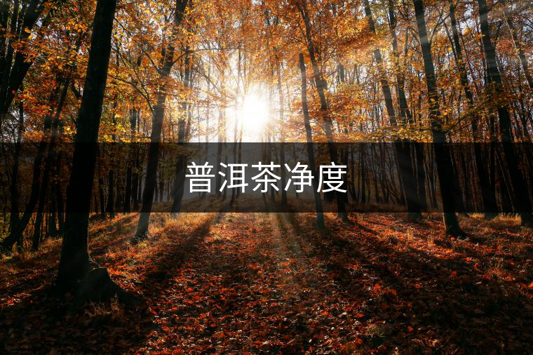 普洱茶凈度 普洱茶凈度