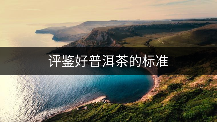 評鑒好普洱茶的標準 評鑒好普洱茶的標準