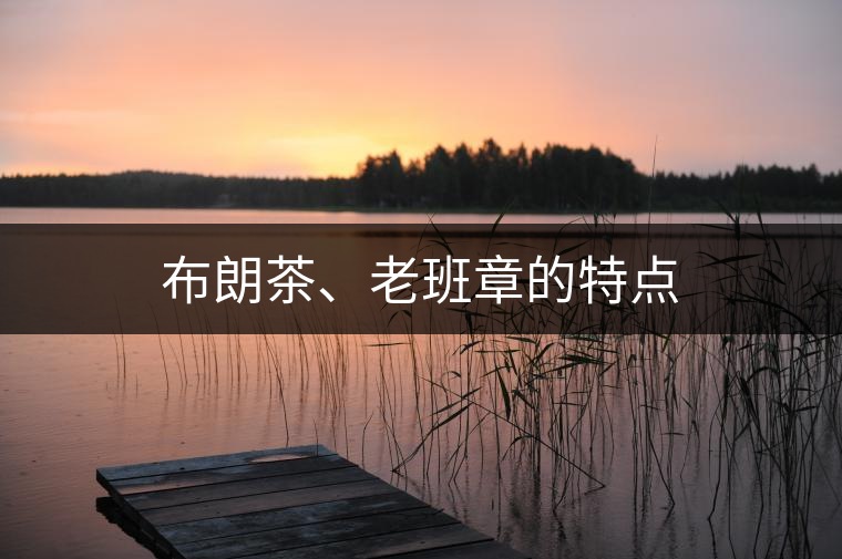 布朗茶、老班章的特點(diǎn)