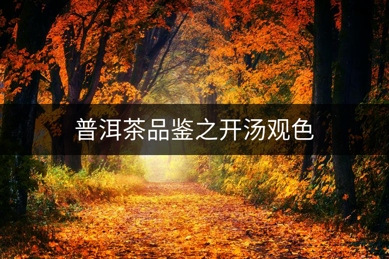 普洱茶品鑒之開(kāi)湯觀色 普洱茶品鑒之開(kāi)湯觀色