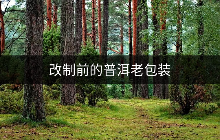 改制前的普洱老包裝