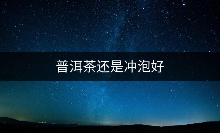 普洱茶還是沖泡好