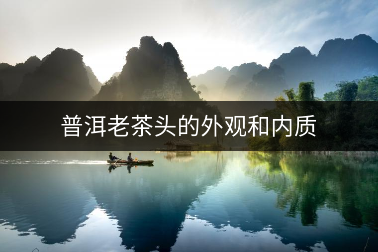 普洱老茶頭的外觀和內(nèi)質(zhì)