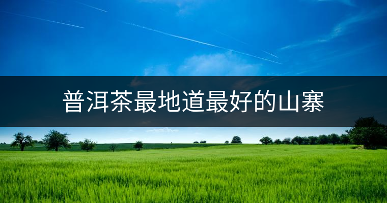 普洱茶最地道最好的山寨