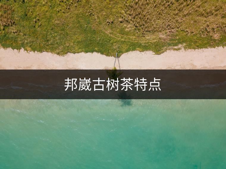 邦崴古樹茶特點(diǎn)