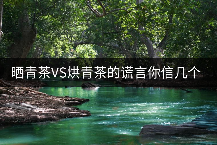 曬青茶VS烘青茶的謊言你信幾個？