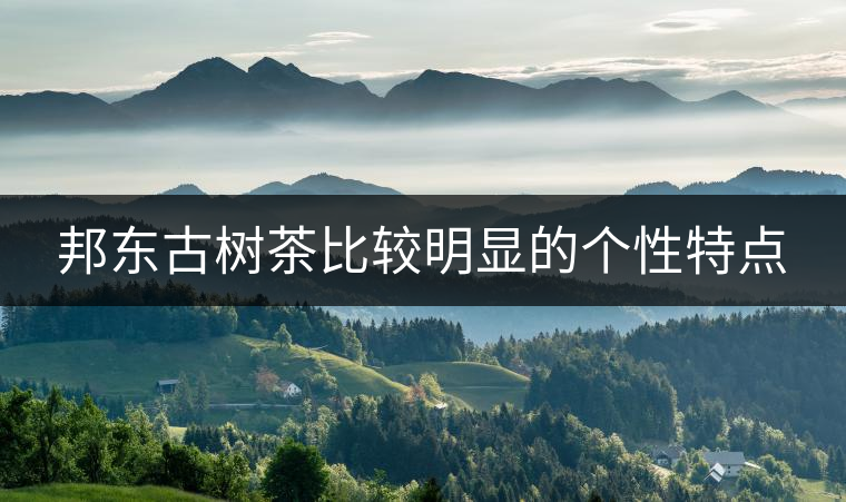 邦東古樹茶比較明顯的個性特點 邦東古樹茶比較明顯的個性特點