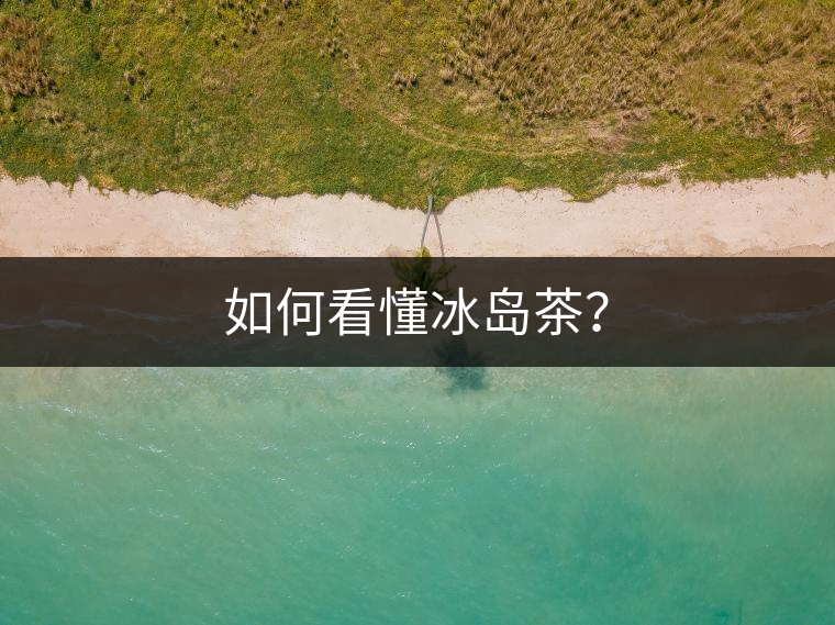 如何看懂冰島茶？