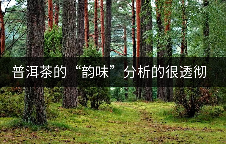 普洱茶的“韻味”分析的很透徹值得收藏 普洱茶的“韻味”分析的很透徹值得收藏