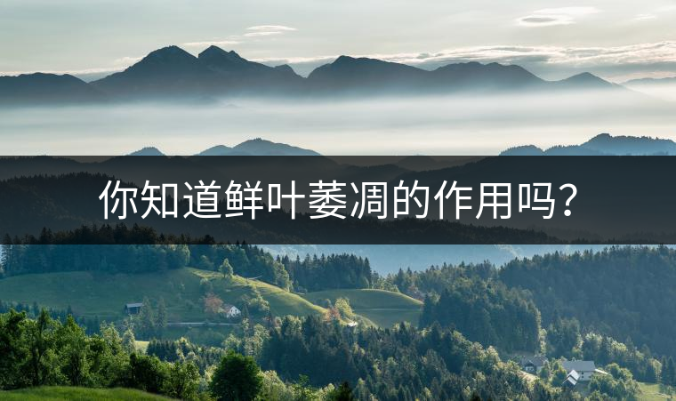 你知道鮮葉萎凋的作用嗎？