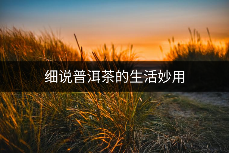 細(xì)說普洱茶的生活妙用