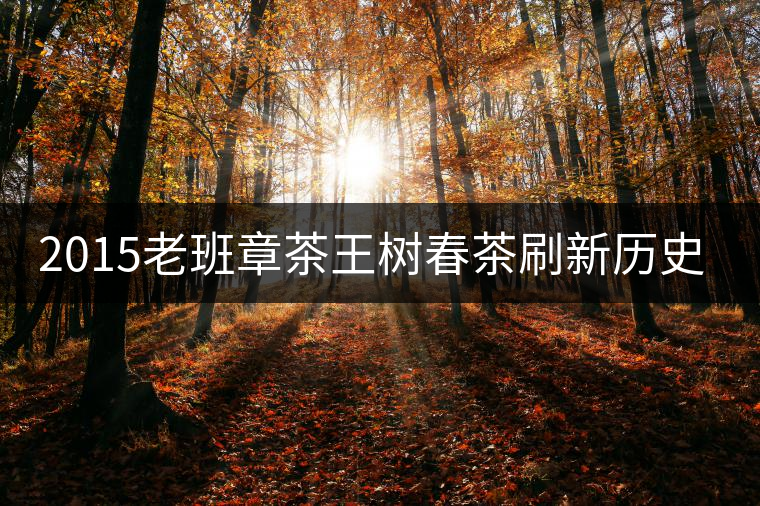 2015老班章茶王樹春茶刷新歷史新價 2015老班章茶王樹春茶刷新歷史新價