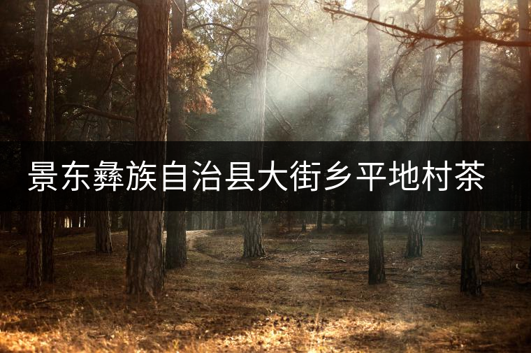 景東彝族自治縣大街鄉(xiāng)平地村茶廠 景東彝族自治縣大街鄉(xiāng)平地村茶廠