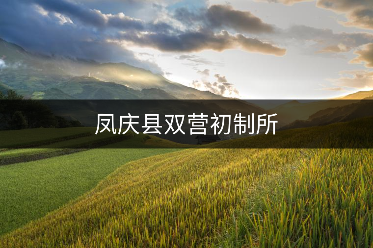 鳳慶縣雙營(yíng)初制所 鳳慶縣雙營(yíng)初制所