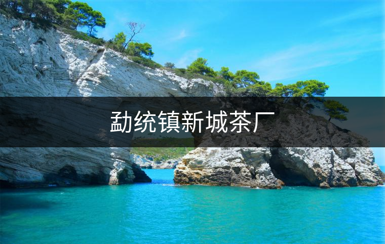 勐統(tǒng)鎮(zhèn)新城茶廠 勐統(tǒng)鎮(zhèn)新城茶廠