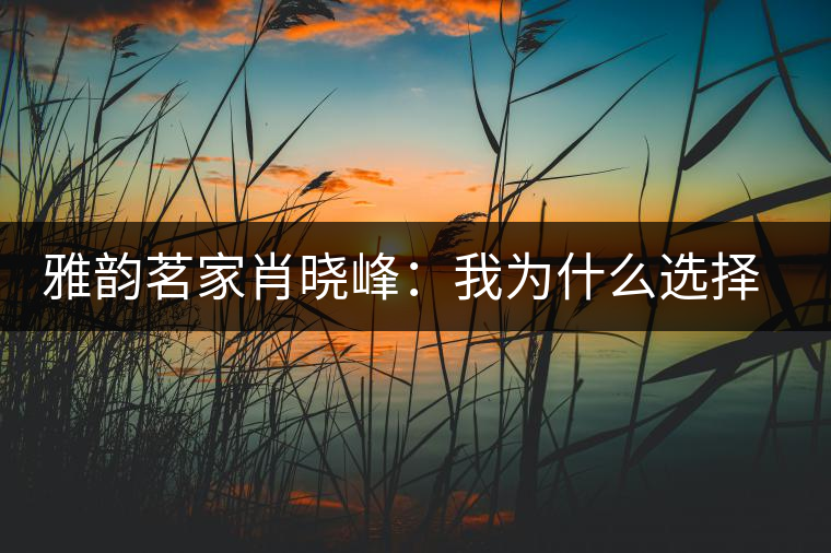 雅韻茗家肖曉峰：我為什么選擇古樹茶