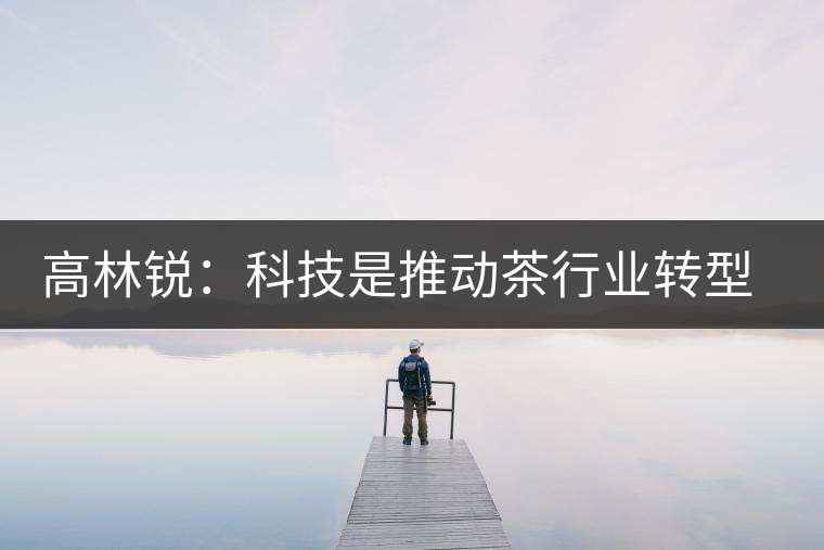 高林銳:科技是推動(dòng)茶行業(yè)轉(zhuǎn)型的最大動(dòng)力 高林銳:科技是推動(dòng)茶行業(yè)轉(zhuǎn)型的最大動(dòng)力