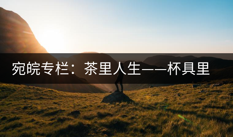 宛皖專欄：茶里人生——杯具里的苦澀與甘甜