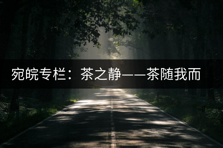 宛皖專(zhuān)欄:茶之靜——茶隨我而靜 宛皖專(zhuān)欄:茶之靜——茶隨我而靜