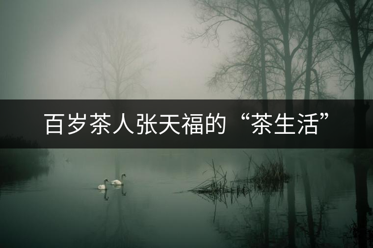 百歲茶人張?zhí)旄5摹安枭睢? alt=
