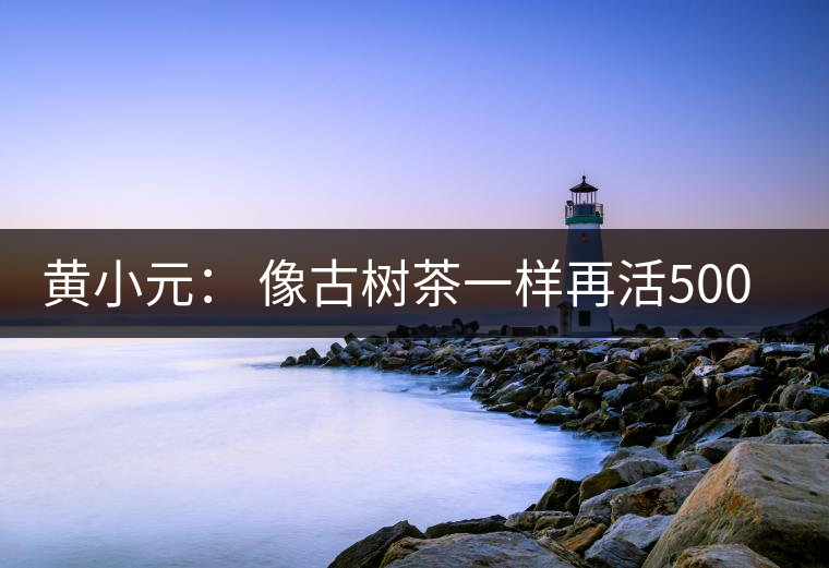 黃小元： 像古樹(shù)茶一樣再活500年