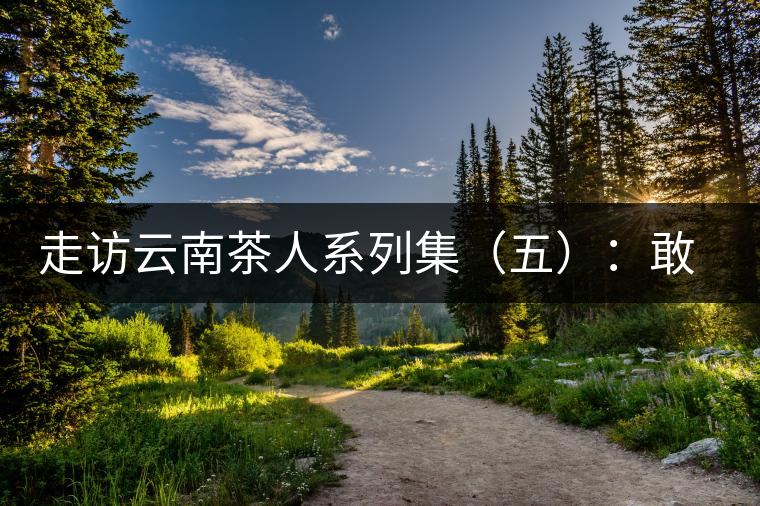 走訪云南茶人系列集(五):敢教“春芽”變“普洱”——王樹(shù)文 走訪云南茶人系列集(五):敢教“春芽”變“普洱”——王樹(shù)文