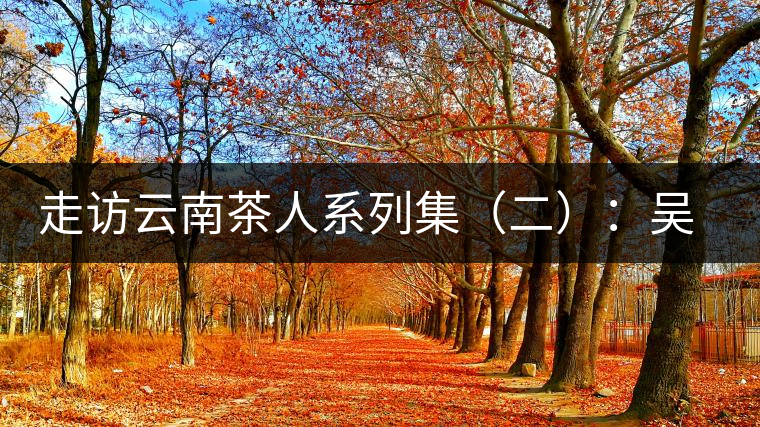 走訪云南茶人系列集（二）：吳覺(jué)農(nóng)的云南弟子——彭承鑑